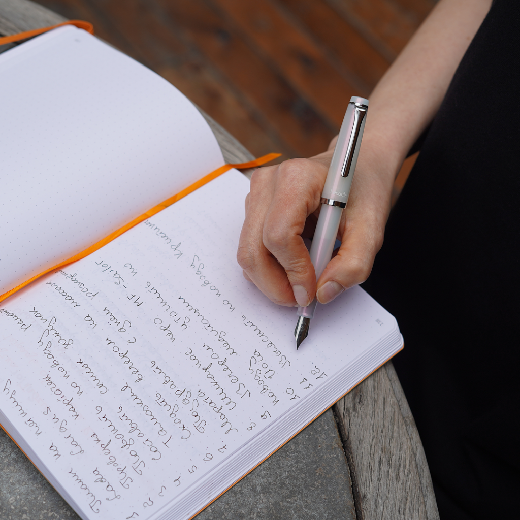 Заметки в записной книжке Rhodia