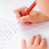 Ручка перьевая LAMY SAFARI, Red/Красный