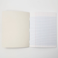 Тетрадь для каллиграфии CLAIREFONTAINE CALLIGRAPHE LIGNE 8000, 17х22, 90 г, Vert anis/Зеленый