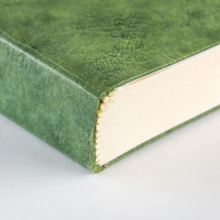 Записная книжка CLAIREFONTAINE AGE BAG MY.ESSENTIAL, A5, 90 г, Vert/Зеленый