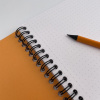 Блокнот RHODIA CLASSIC REVERSE BOOK, 21х21 см, 80 г, Orange/Оранжевый