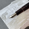 Ручка перьевая SAILOR SHIKIORI KUSA ASOBI, Gold IP still nib, Tsurubami/Коричневый