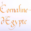 Чернила HERBIN PRESTIGE 1798, Coraline d'Egypte/Оранжевый с серебряными блестками
