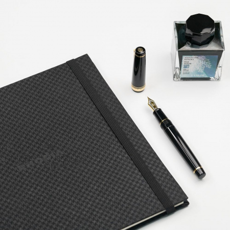 Ручка перьевая SAILOR PRO GEAR, GT 21K bicolor, Black/Черный