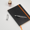 Ручка перьевая SAILOR 1911L DEMONSTRATOR, RT 21K, Clear/Прозрачный
