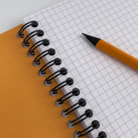 Блокнот RHODIA CLASSIC REVERSE BOOK, 21х21 см, 80 г, Orange/Оранжевый