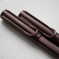 Ручка перьевая LAMY LX, Marron/Коричневый