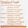 Чернила HERBIN PRESTIGE 1798, Coraline d'Egypte/Оранжевый с серебряными блестками