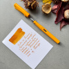 Картриджи для перьевой ручки HERBIN, Ambre de birmanie/Янтарный