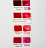 Акварельные чернила HERBIN ECLATS, Grenat/Гранатовый