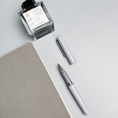 Ручка перьевая SAILOR TUZU, Steel nib, Gray/Серый