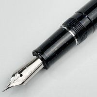 Ручка перьевая SAILOR SHIKIORI HISAKATA, RT steel nib, Stardust/Черный