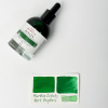 Акварельные чернила HERBIN ECLATS, Vert anglais/Британский зеленый