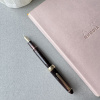 Ручка перьевая SAILOR SHIKIORI KUSA ASOBI, Gold IP still nib, Tsurubami/Коричневый