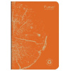 Тетрадь CLAIREFONTAINE FOREVER PREMIUM, A5, 90 г, Orange rouille/Оранжевый, линейка