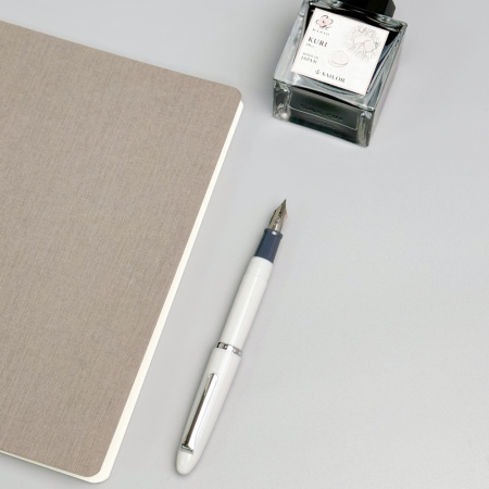 Ручка перьевая SAILOR PROFIT JUNIOR, RT steel nib, Light gray/Светло-серый