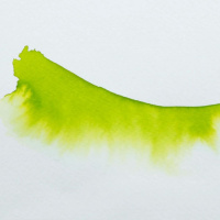 Акварельные чернила HERBIN ECLATS, Vert anis/Желто-зеленый