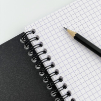 Блокнот RHODIA CLASSIC REVERSE BOOK, 21х21 см, 80 г, Black/Черный
