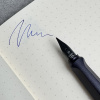 Ручка перьевая LAMY SAFARI, Steel black/Стальной черный