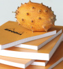 Блокнот RHODIA BASICS №18, A4, 80 г, Orange/Оранжевый