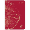 Тетрадь CLAIREFONTAINE FOREVER PREMIUM, A5, 90 г, Rouge brique/Красный, линейка