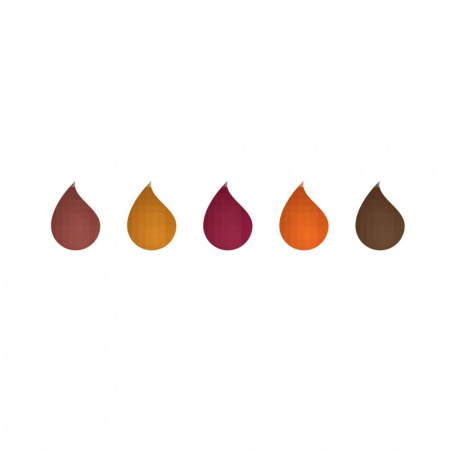 Набор чернил HERBIN AUTUMN