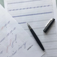 Ручка перьевая LAMY 2000, Black/Черный